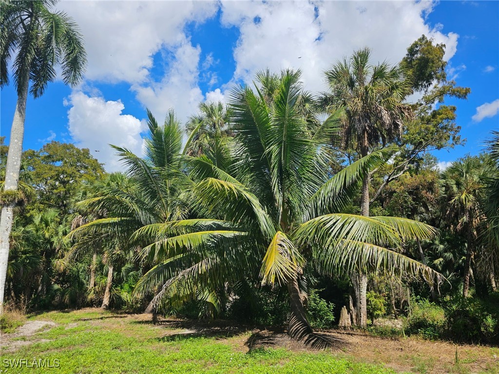 12025 Carpenter Lane Bonita Springs FL 34135 225075495 image42