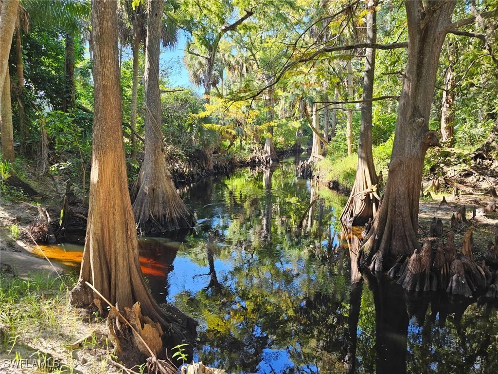 12025 Carpenter Lane Bonita Springs FL 34135 225075495 image44