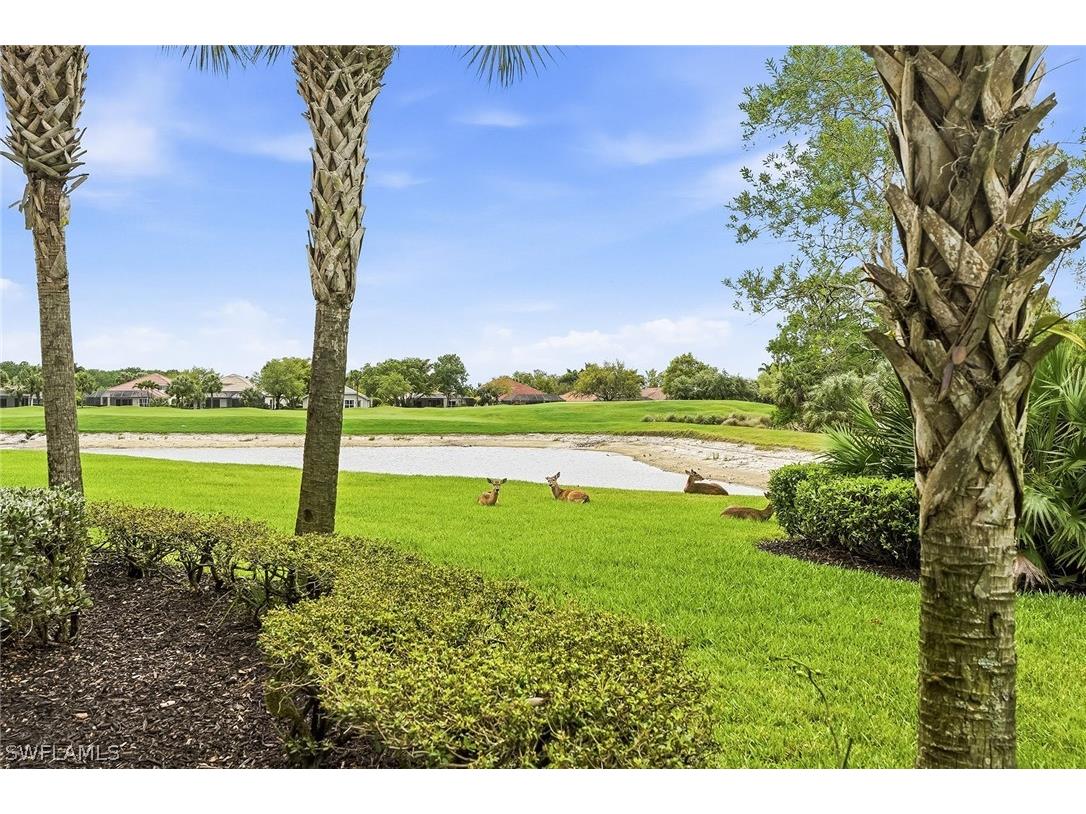 12026 Covent Garden Court #501 Naples FL 34120 226012012 image31