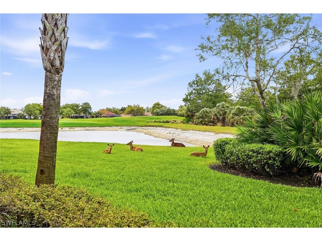 12026 Covent Garden Court #501 Naples FL 34120 226012012 image32