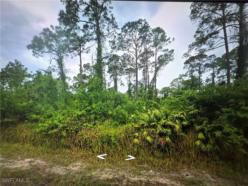 1203 James Avenue Lehigh Acres FL 33972 225006617 image1