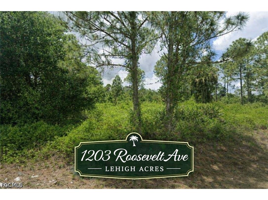 1203 Roosevelt Avenue Lehigh Acres FL 33972 2026017028 image1