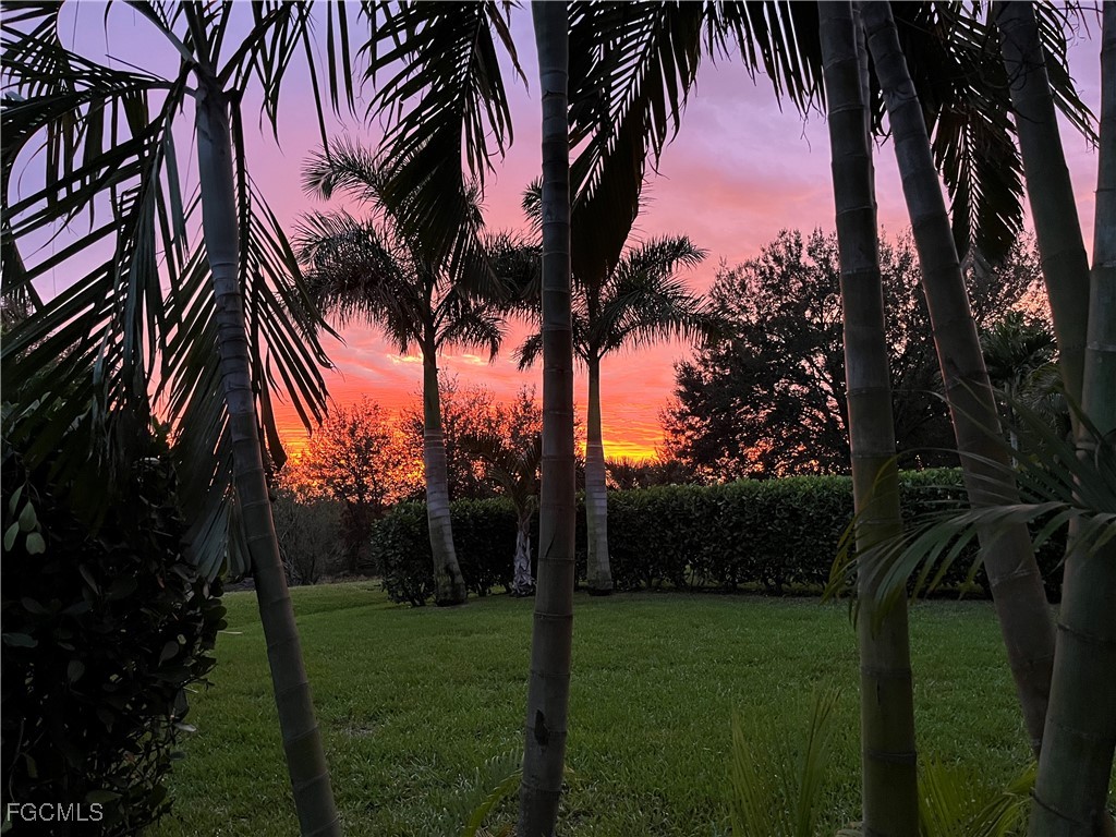 12036 Country Day Circle Fort Myers FL 33913 2025015890 image2