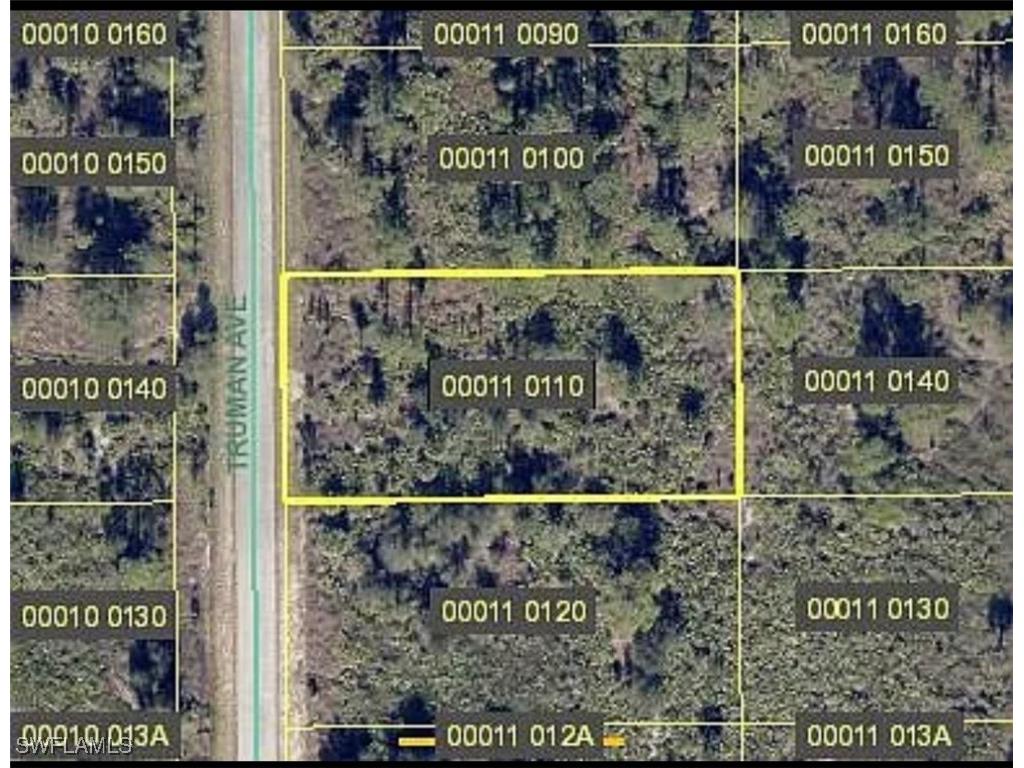 1204 Truman Avenue Lehigh Acres FL 33972 224072906 image1