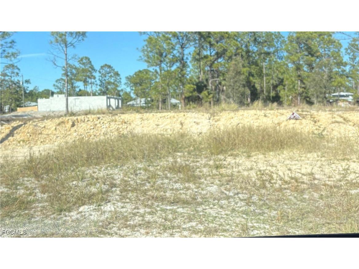 1204 W 10th Street Lehigh Acres FL 33972 2025026141 image5