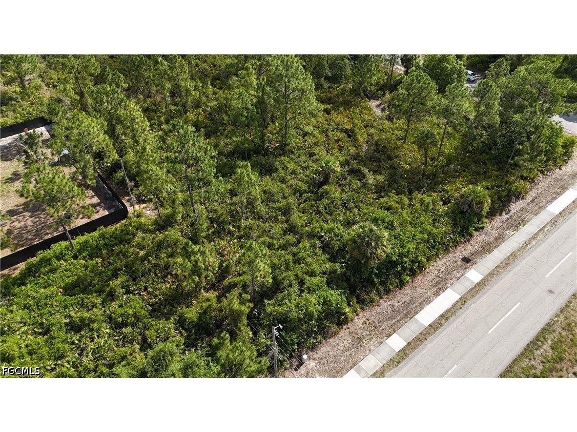 1205 E 6th Street Lehigh Acres FL 33972 2026021080 image3