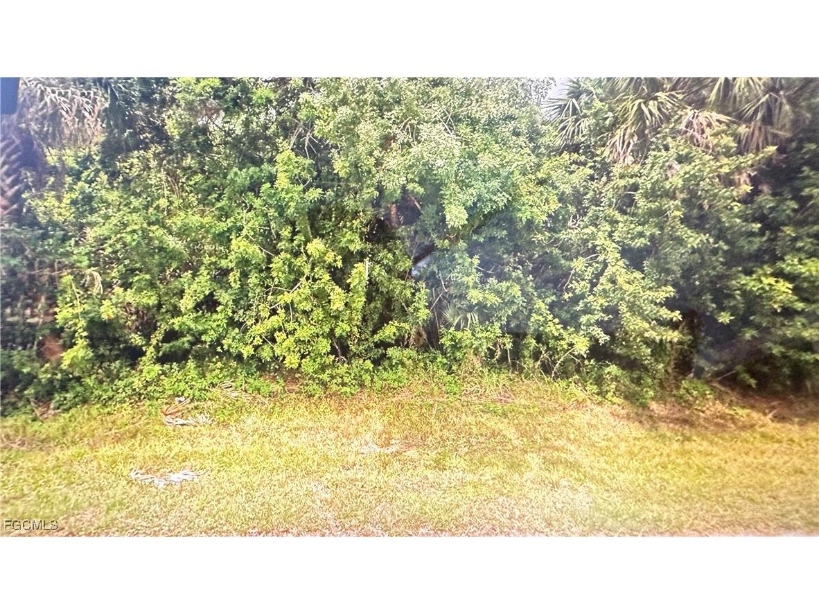 1205 Oxsalida Street Port Charlotte FL 33952 2025016983 image2