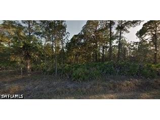 1205 W 17th Street Lehigh Acres FL 33972 226021561 image2