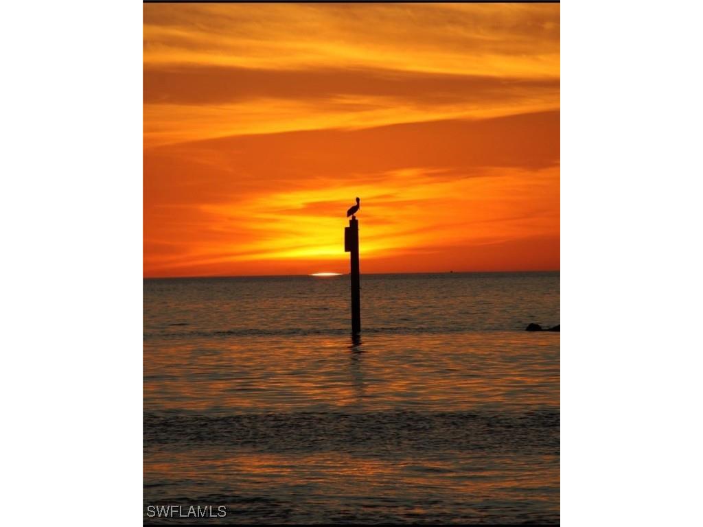 1206 Edington Place #D101 Marco Island FL 34145 225071801 image33