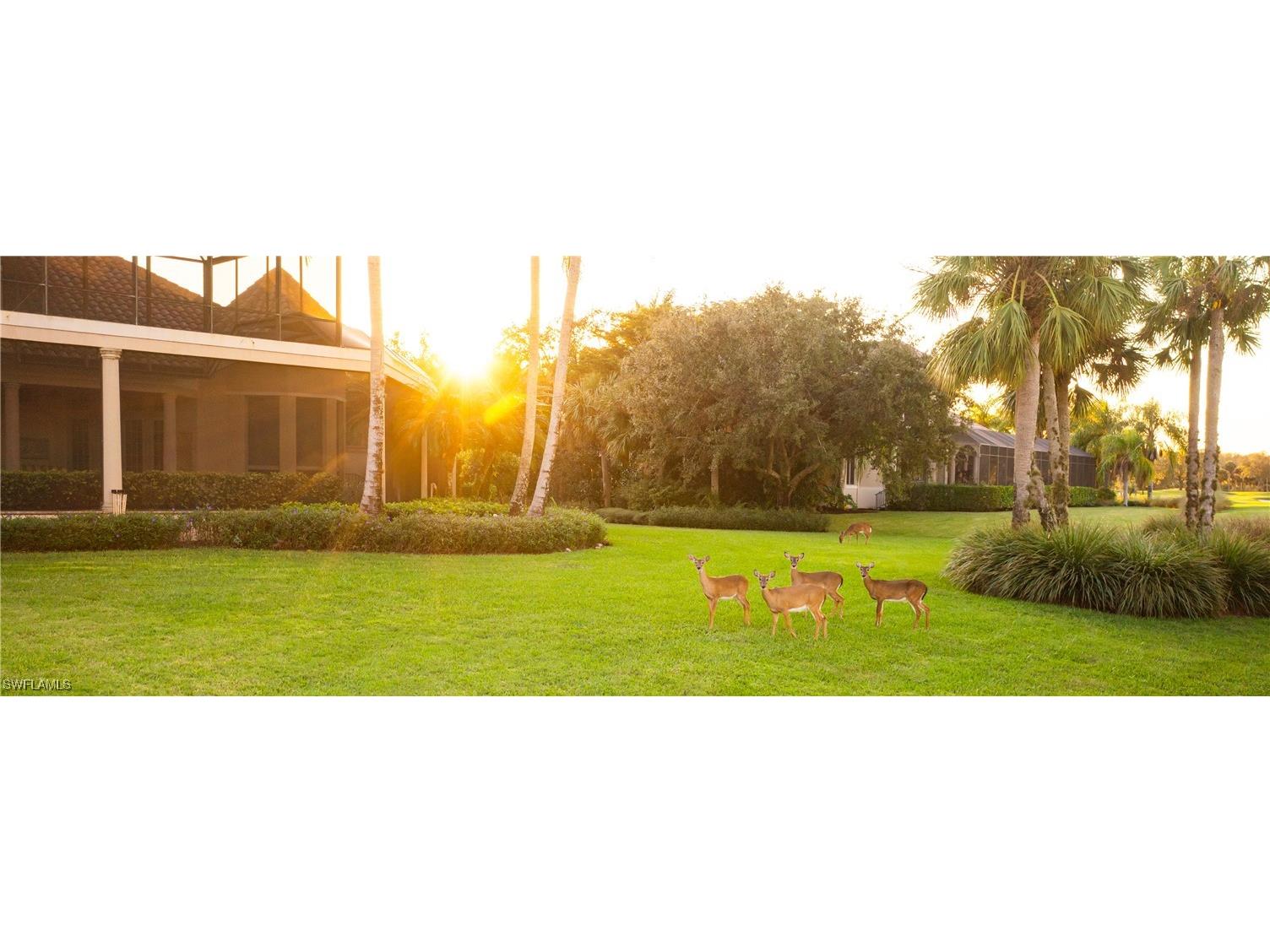 12066 Covent Garden Court #1403 Naples FL 34120 225076047 image47