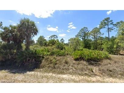 1207 Desoto Avenue Lehigh Acres FL 33972 223043480 image1