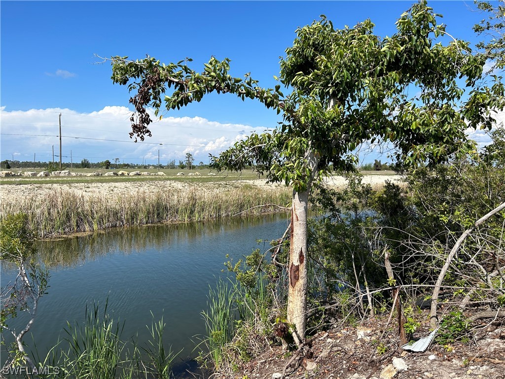 1207 NW 24th Terrace Cape Coral FL 33993 223063494 image1