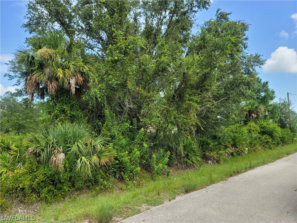 1207 Oak Avenue Lehigh Acres FL 33972 223053003 image1