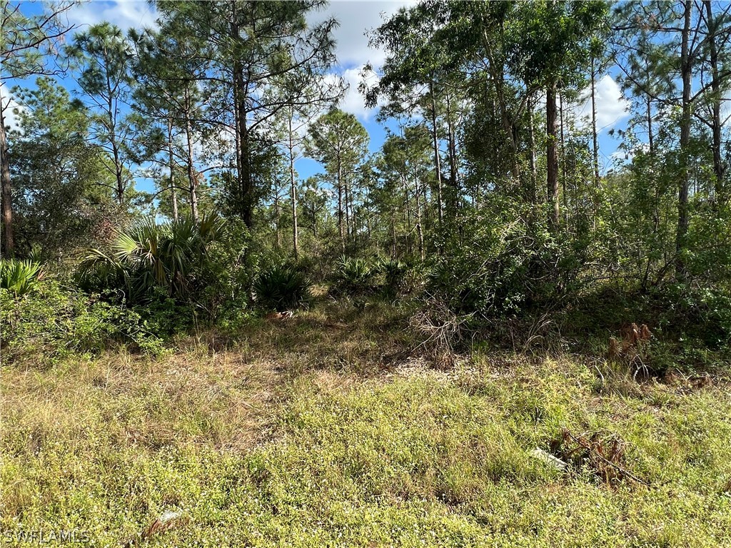 1208 Clayton Avenue Lehigh Acres FL 33972 222081766 image1