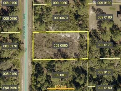 1208 Congress Avenue Lehigh Acres FL 33972 2026004418 image1