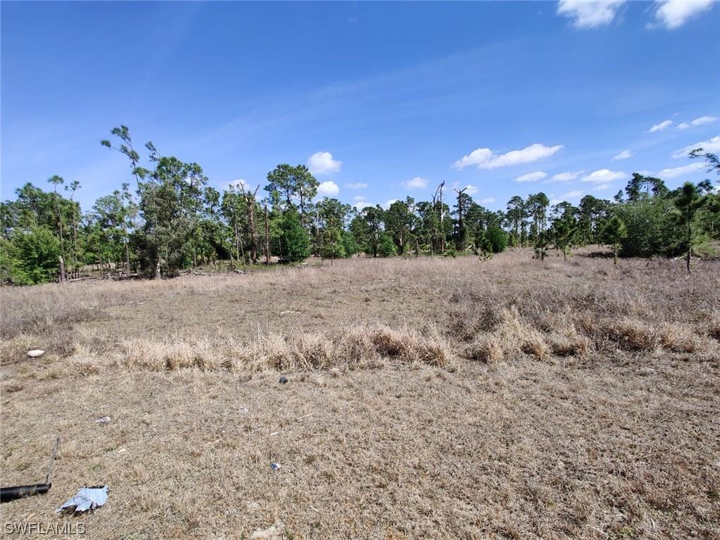 1209 Garibaldi Street E Lehigh Acres FL 33974 223024324 image1