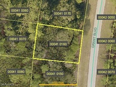 1209 Grant Boulevard Lehigh Acres FL 33974 225054009 image8