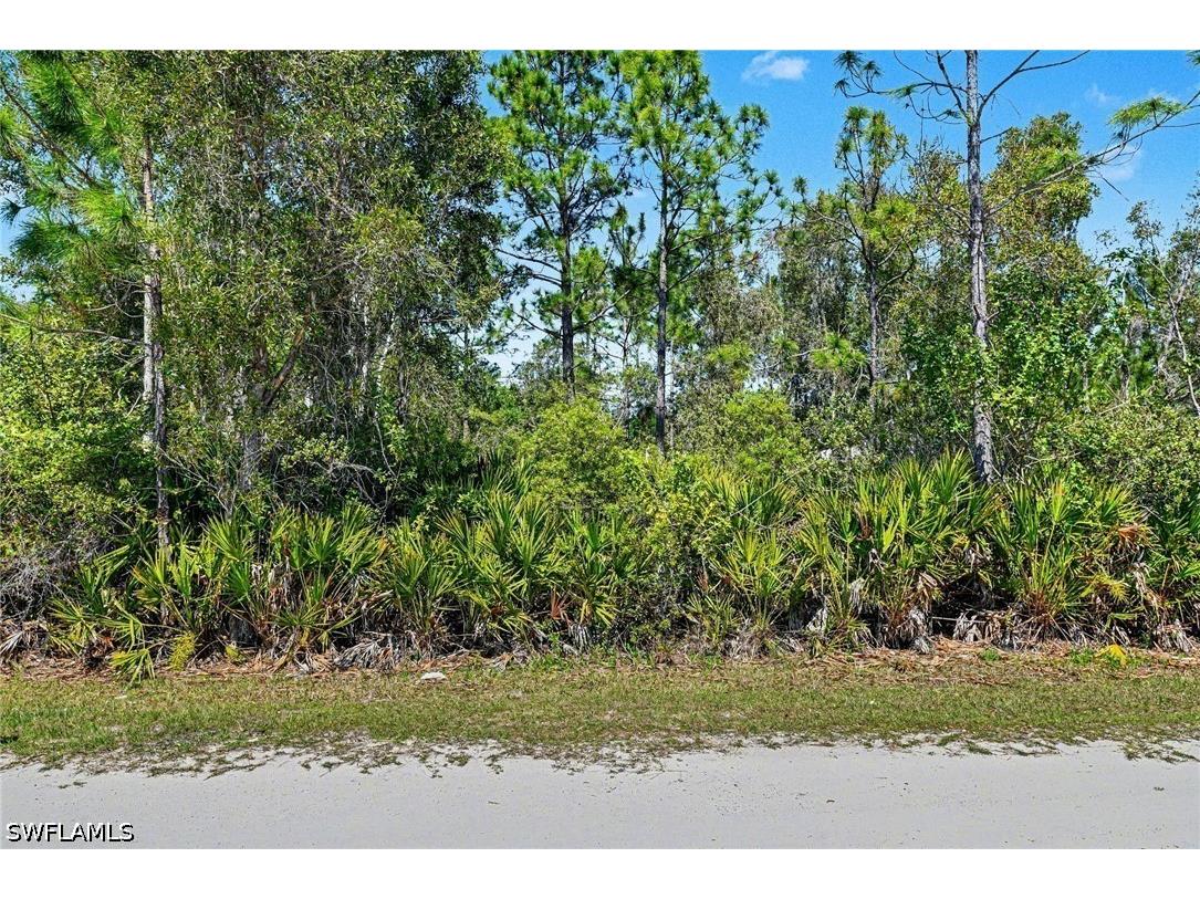 12097 Platano Drive Punta Gorda FL 33955 226013288 image1
