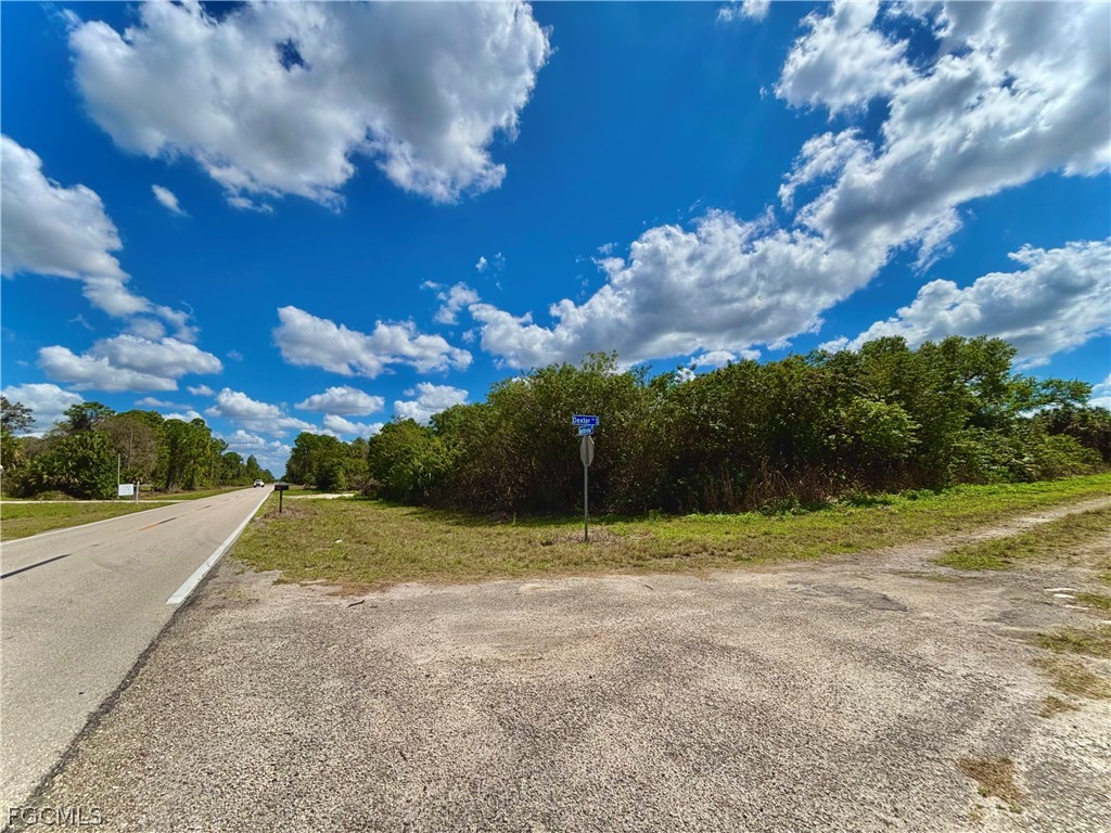 121 Dexter Avenue S Lehigh Acres FL 33974 2026012035 image2