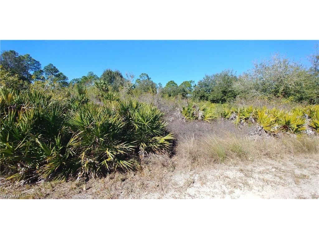 121 Fitch Avenue Lehigh Acres FL 33936 223043809 image1