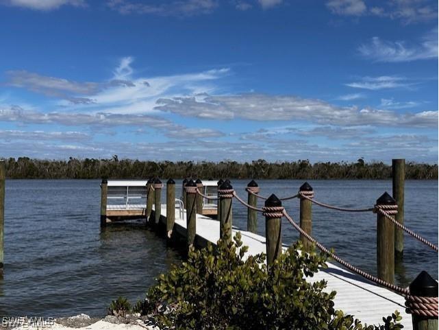 121 Gulf Island Drive Fort Myers Beach FL 33931 225050570 image7