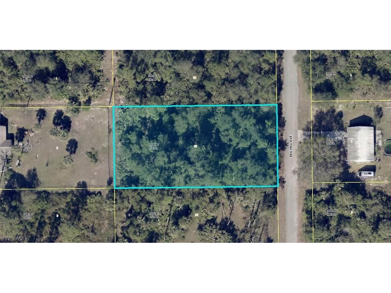 121 Irving Avenue Lehigh Acres FL 33936 223031222 image1