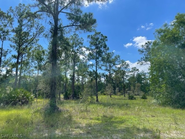 121 Moore Avenue Lehigh Acres FL 33936 222061573 image1