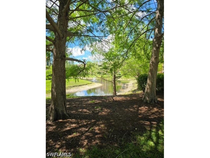 1210 Reserve Way #204 Naples FL 34105 226015144 image26