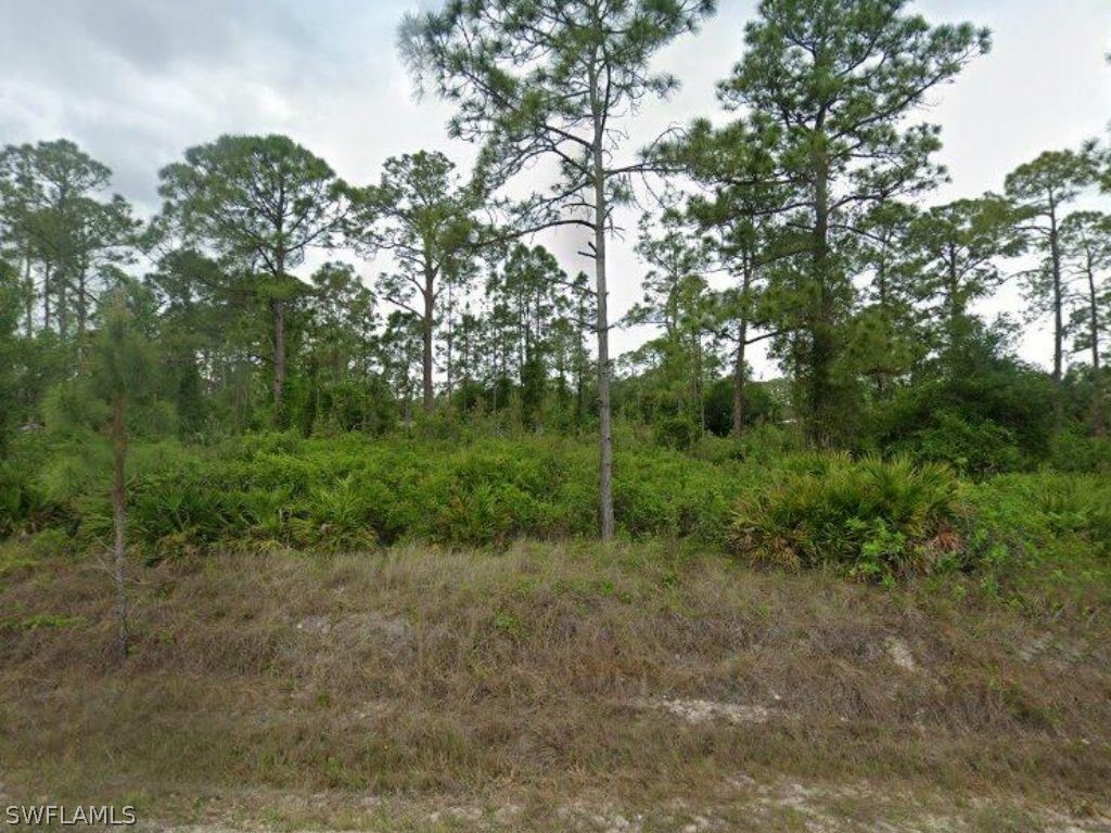 1211 Sheldon Avenue Lehigh Acres FL 33972 224037943 image1