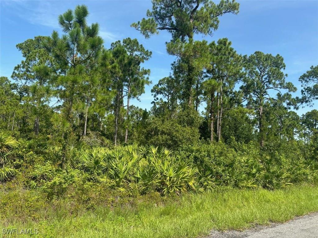 1213 Dixie Avenue Lehigh Acres FL 33972 224065338 image1