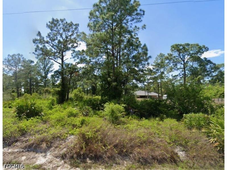 1213 Edison Avenue Lehigh Acres FL 33972 2025003147 image1