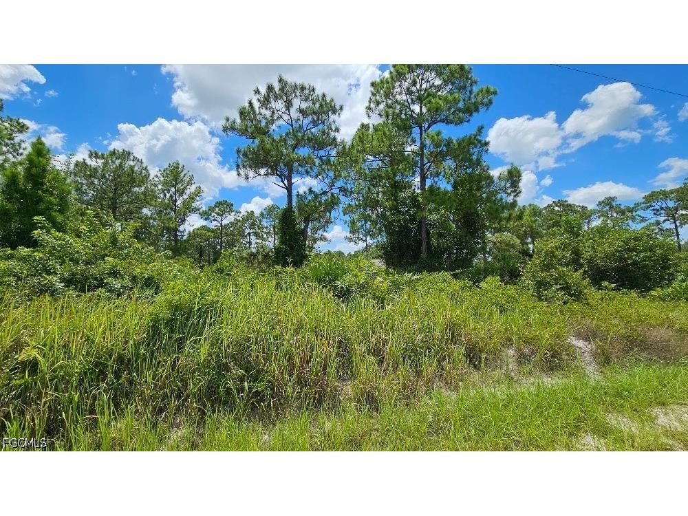 1213 Edison Avenue Lehigh Acres FL 33972 2025003147 image2