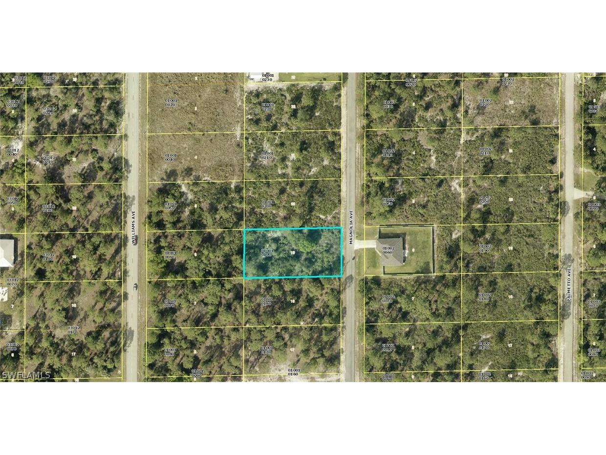 1213 Magnolia Avenue Lehigh Acres FL 33972 224035474 image1