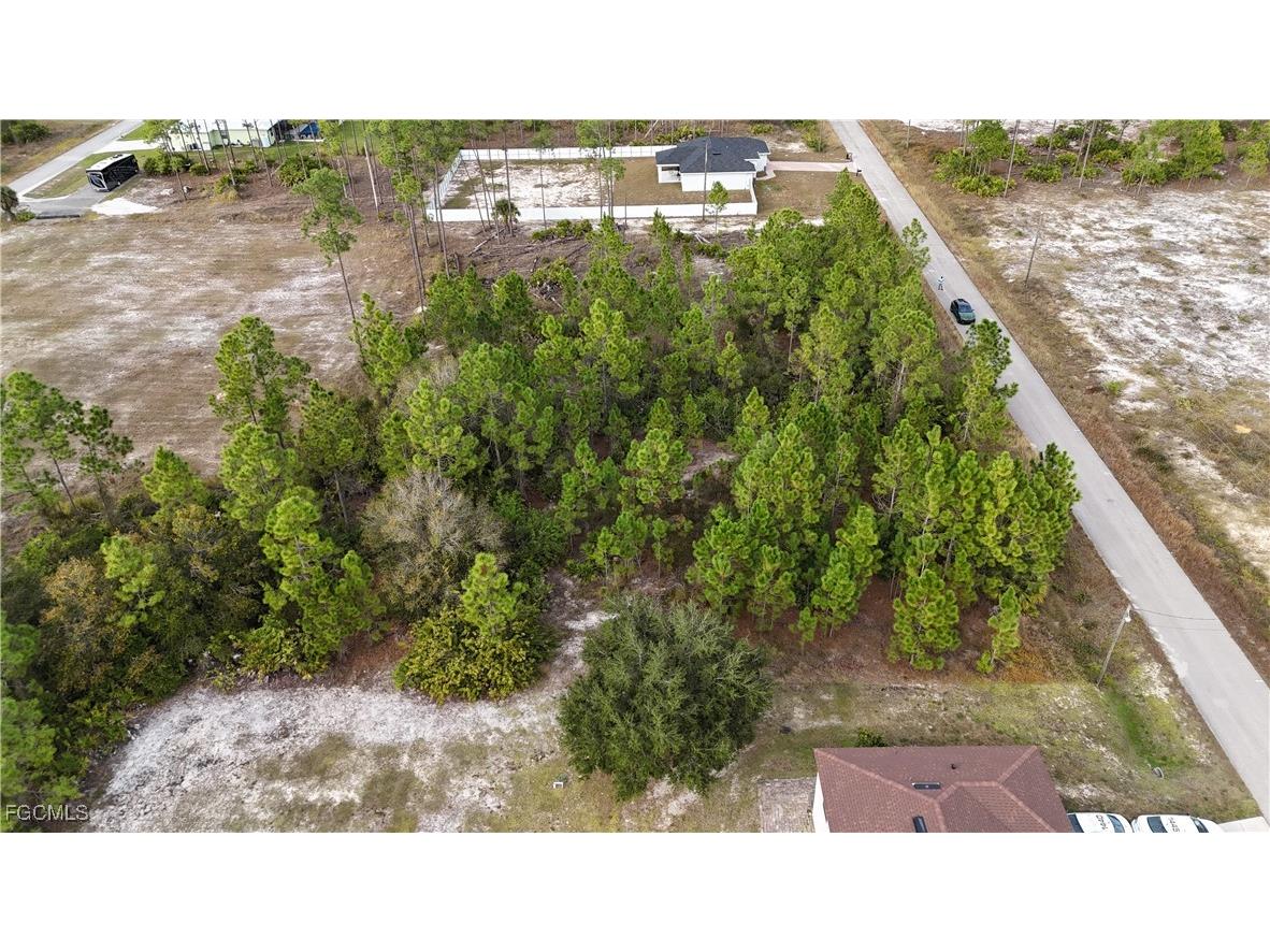 1213 Maple Avenue N Lehigh Acres FL 33972 2025025011 image3