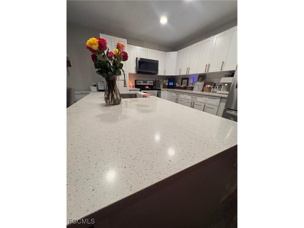 1213 SE 23rd Place #1-2 Cape Coral FL 33990 2025014755 image4