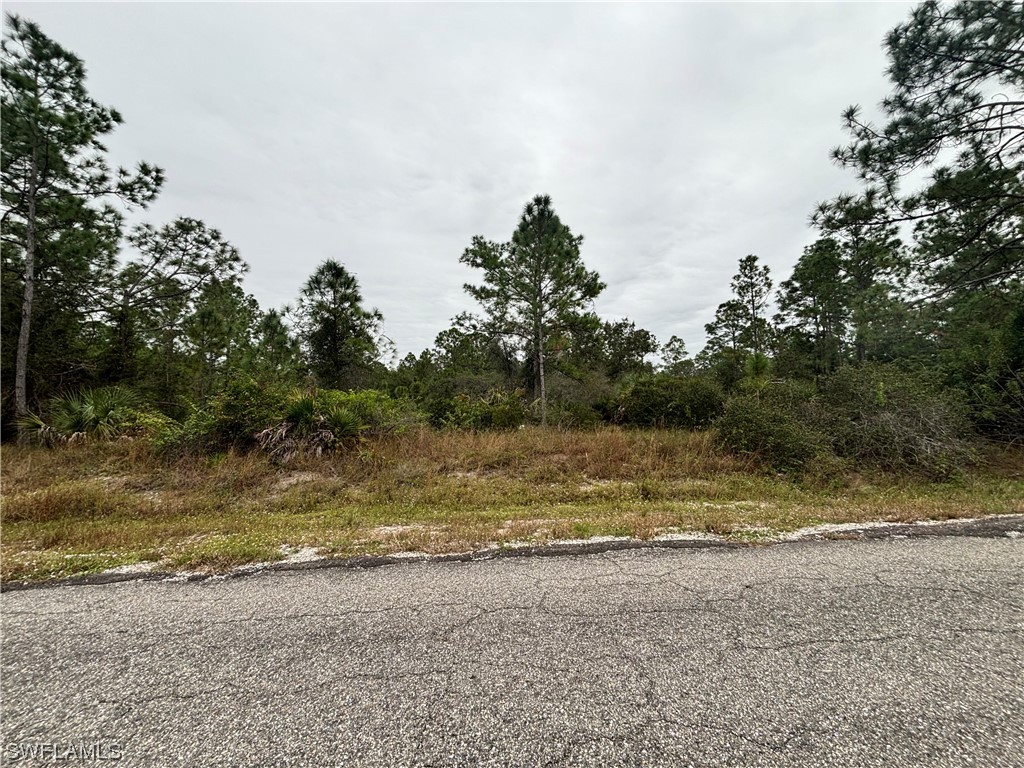 1214 Clayton Avenue Lehigh Acres FL 33972 223085228 image1