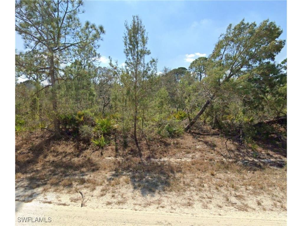 1214 Macaw Avenue Lake Placid FL 33852 224074011 image1