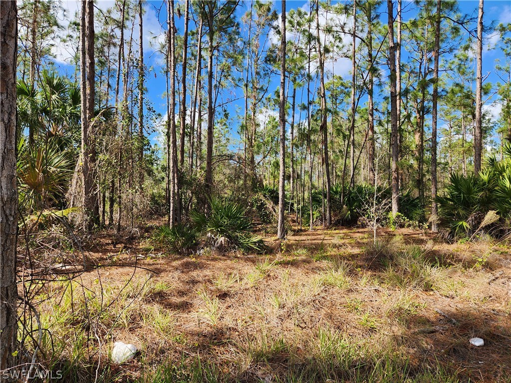 1215 Broadway Avenue Lehigh Acres FL 33972 223004927 image1