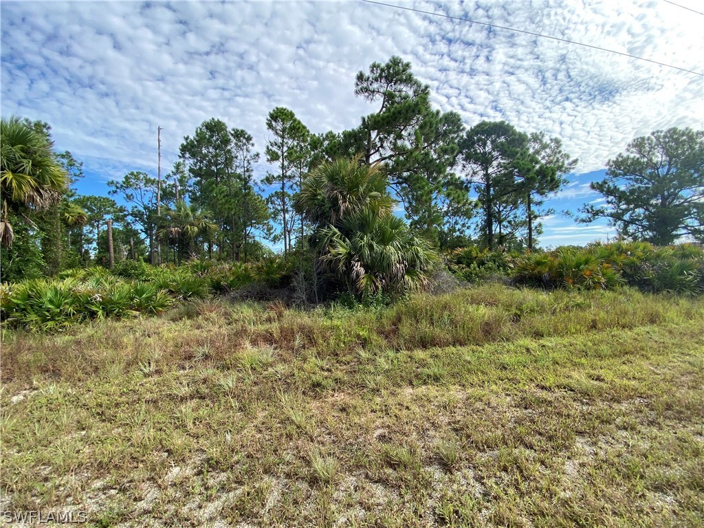 1215 Cellini Street E Lehigh Acres FL 33974 222062825 image1