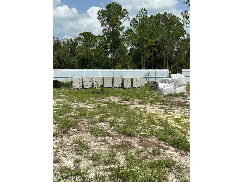 1215 Hamilton Avenue Lehigh Acres FL 33972 223050710 image21