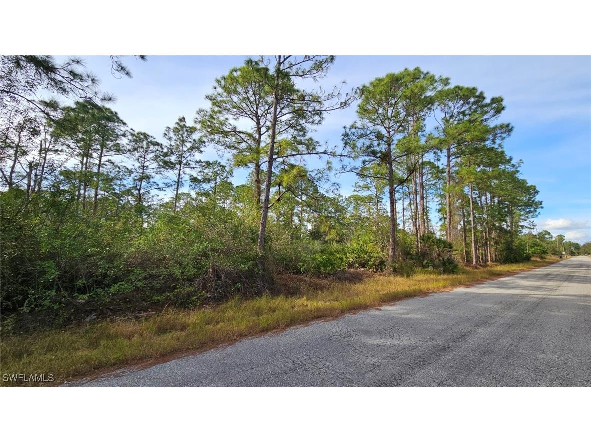 1215 Sheldon Avenue Lehigh Acres FL 33972 225019640 image1