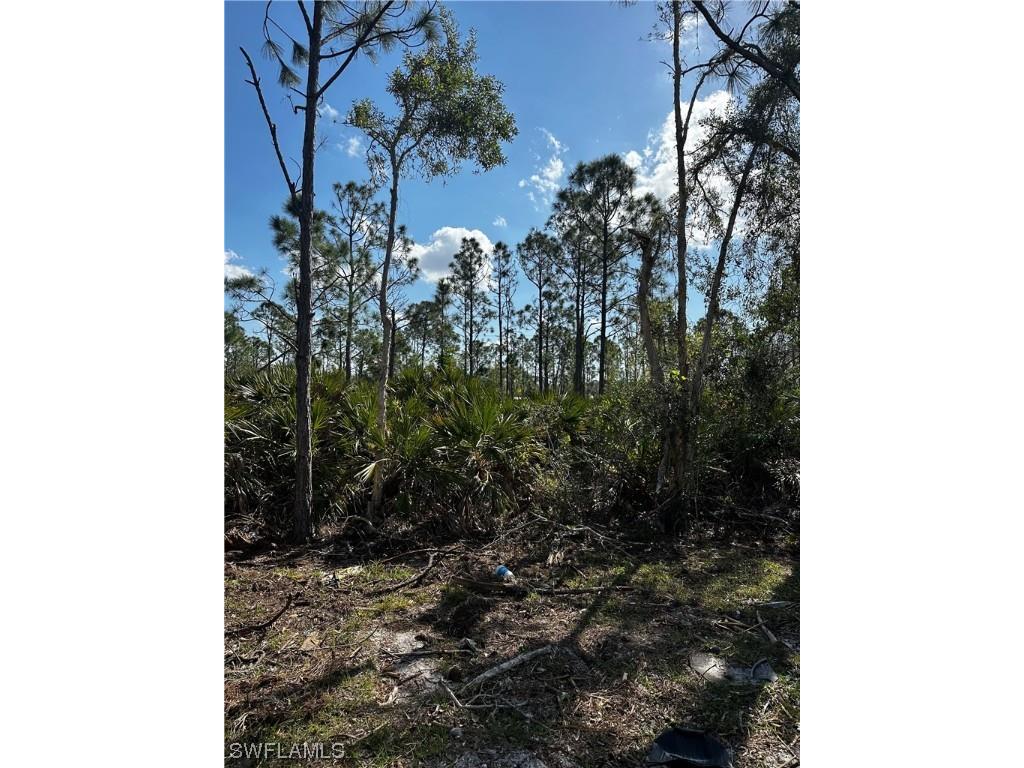 12150 Hindle Avenue Punta Gorda FL 33955 223007499 image1