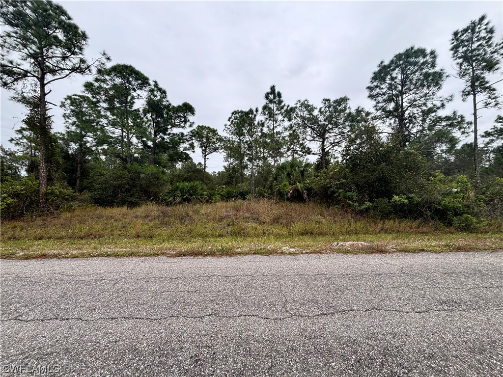 1216 Clayton Avenue Lehigh Acres FL 33972 223085221 image1