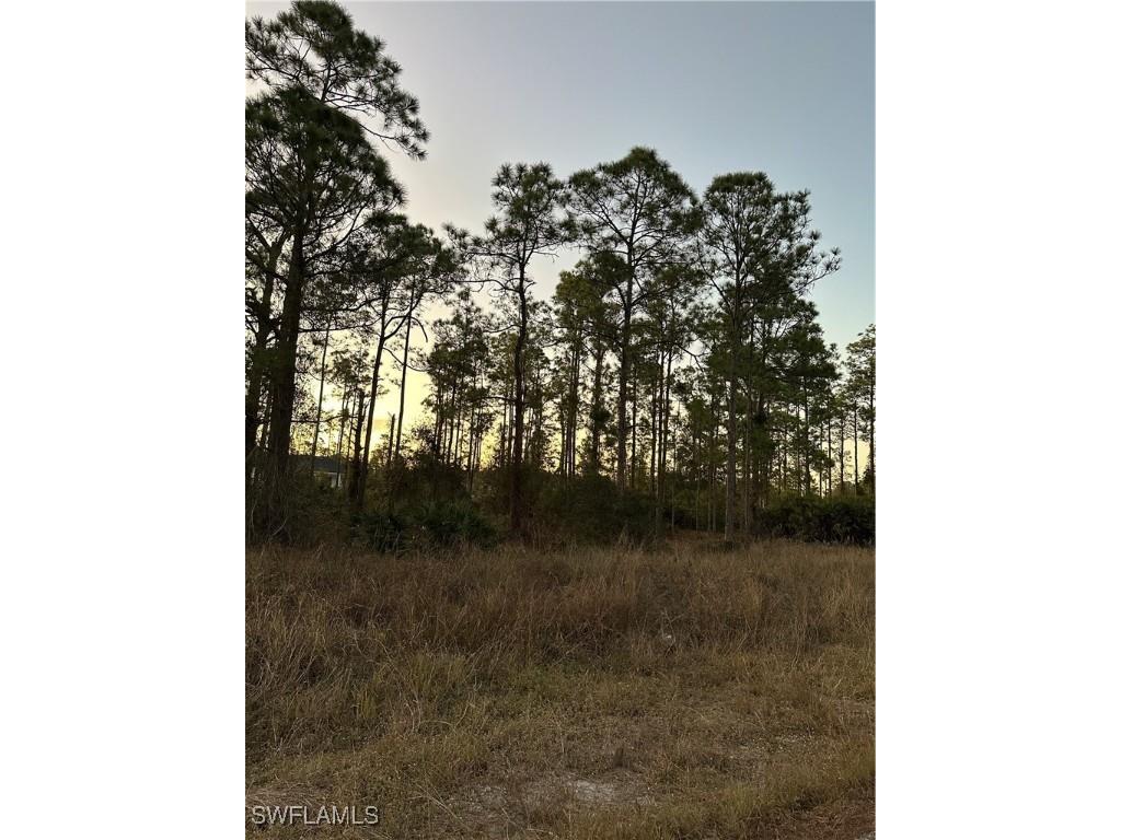 1217 Louis Avenue Lehigh Acres FL 33972 225000740 image1