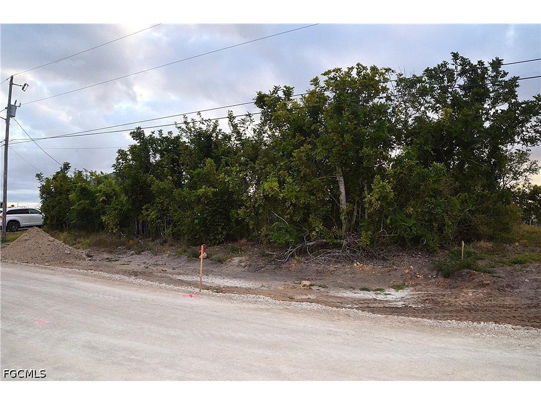 1217 NE 13th Place Cape Coral FL 33909 2026016969 image4