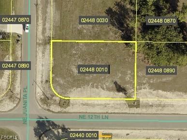 1217 NE Juanita Place Cape Coral FL 33909 2026008578 image1
