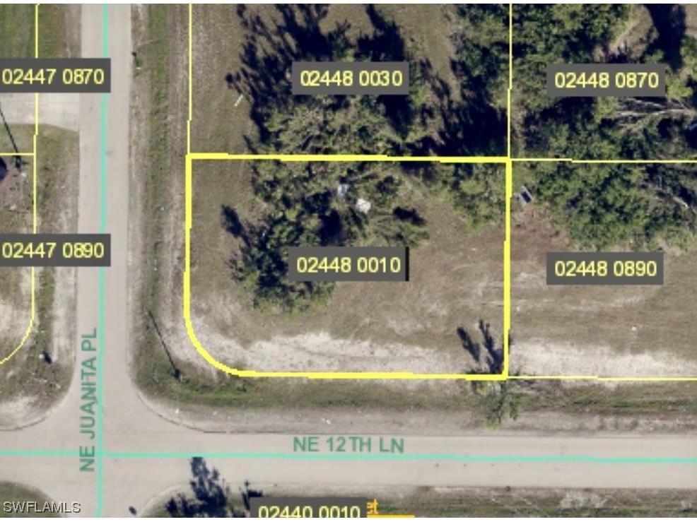 1217 NE Juanita Place Cape Coral FL 33909 223047924 image1