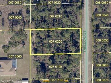 1217 Sheldon Avenue Lehigh Acres FL 33972 224024147 image1
