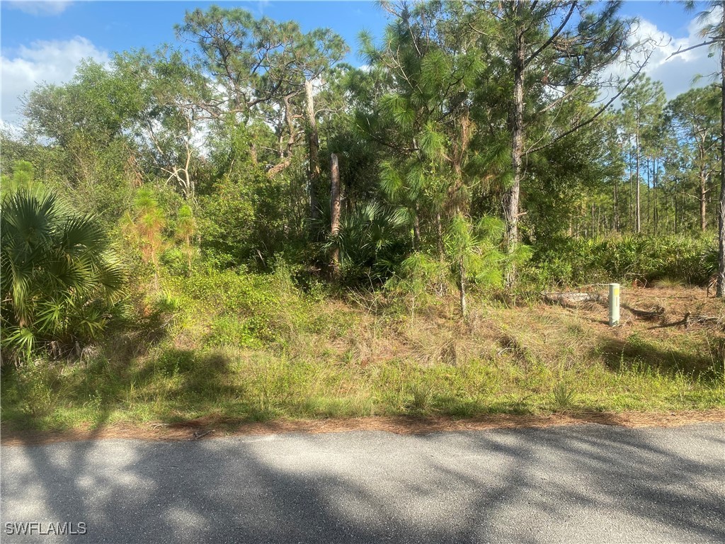1218 Columbus Avenue Lehigh Acres FL 33972 224065677 image1