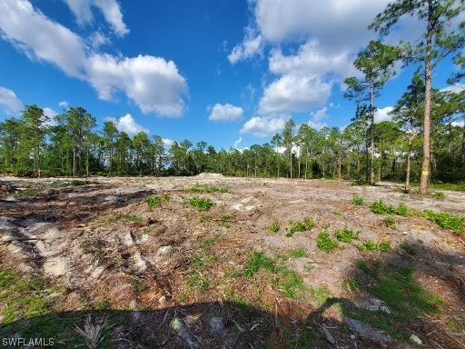 1218 Irving Avenue Lehigh Acres FL 33972 223061472 image1